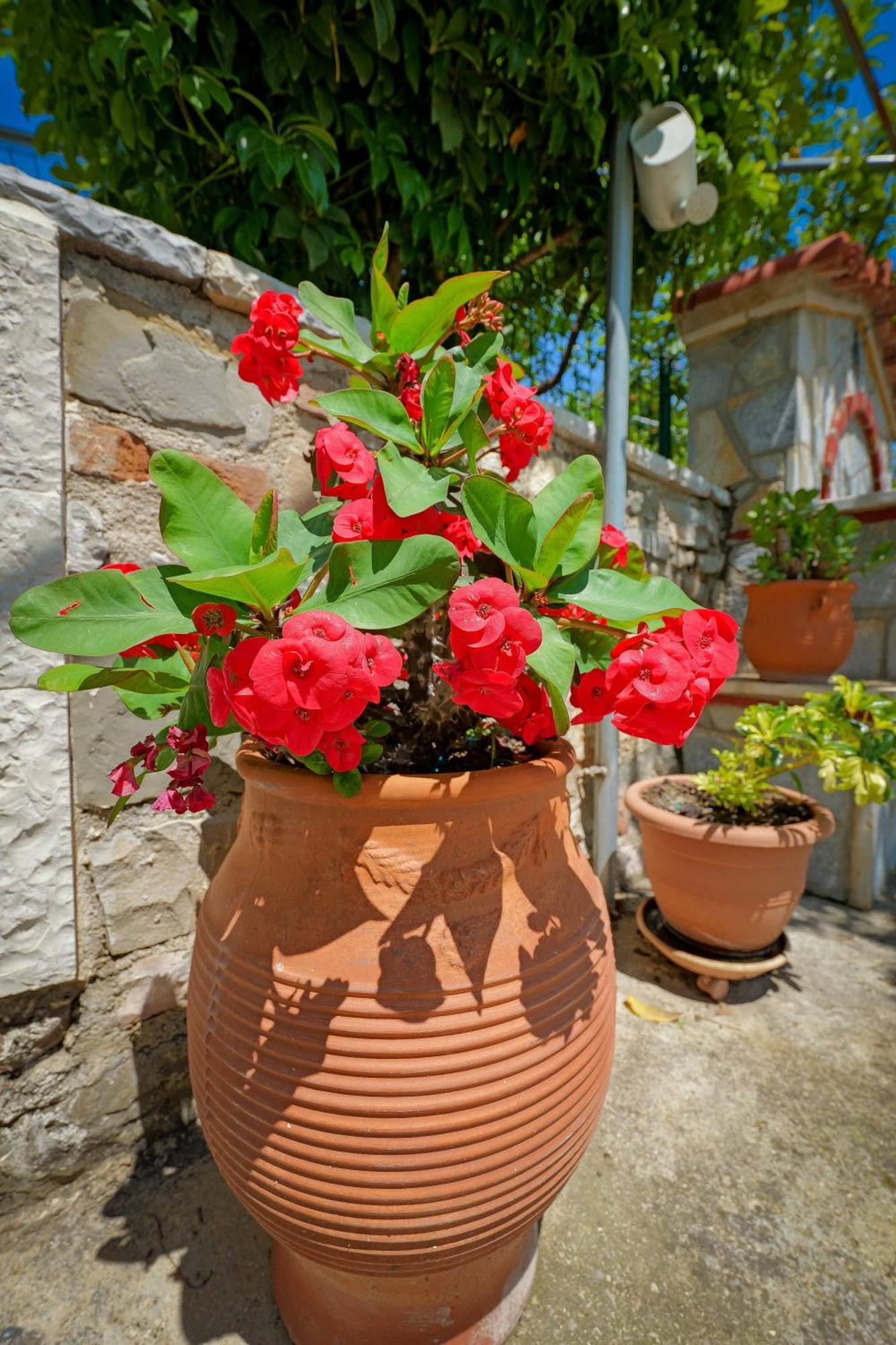 Shena The Farm Boutique Hotel Mesopotam Exterior foto